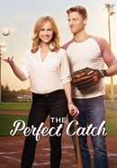 The Perfect Catch poster image