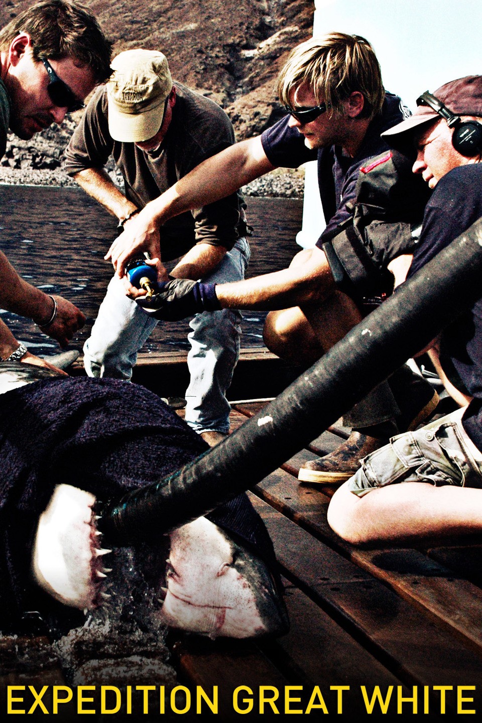 Expedition Great White: Feeding Frenzy [DVD] 【公式通販】