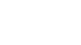 Particle Fever Logo