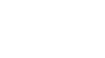 Shirley: Visions of Reality Logo
