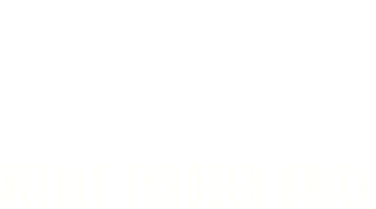 Needle Through Brick Logo
