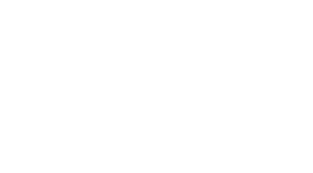 The Burmese Harp Logo