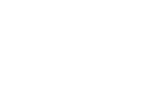 The Perfect Guy Logo