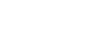Arena Logo