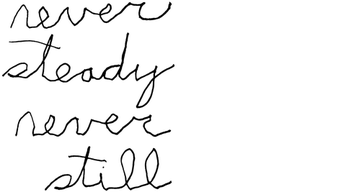 Never Steady, Never Still Logo