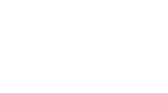 Don't Talk to Irene Logo