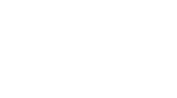 Solver Logo