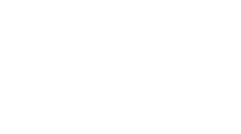 Until the Birds Return Logo