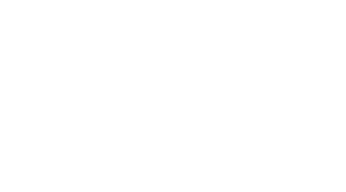 Three Identical Strangers Logo