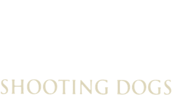 Beyond the Gates (2007) Logo