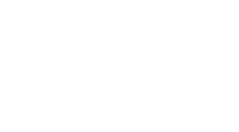 Pusher II (2004) Logo