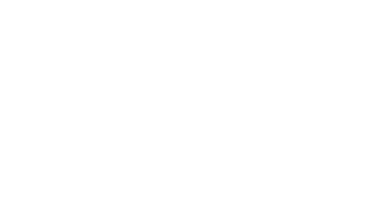 The Time Traveler's Wife Logo