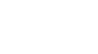Rumble in the Bronx Logo