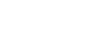 The Visitor (1979) Logo