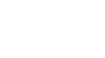 License to Drive Logo