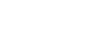 Boogie (2009) Logo
