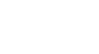My Yang Gang Diary Logo