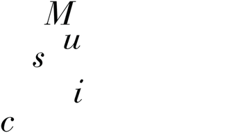 Music (2023) Logo