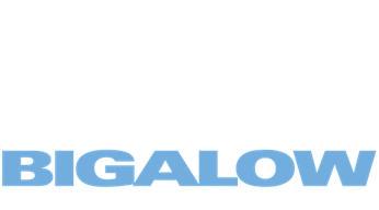 Deuce Bigalow: Male Gigolo Logo