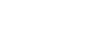 Fighter 3D (2024) Logo