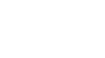 The Diplomat (2025) Logo