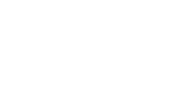 The Birds (1963) Logo