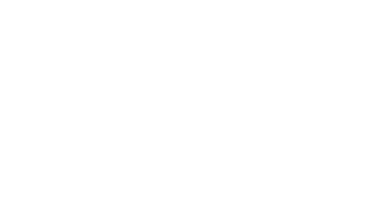 The Official Story Logo