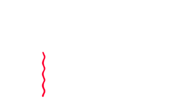 Party Line Logo