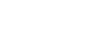 Z Logo