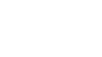 Brief Interviews With Hideous Men Logo