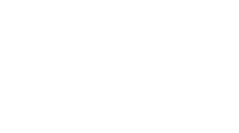 Blind Revenge Logo