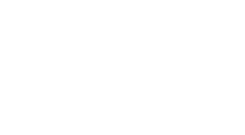 Fully Flared Logo