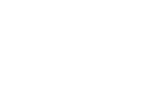 Broken Wings Logo