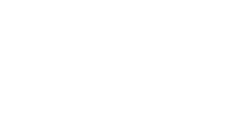 The New Kids Logo