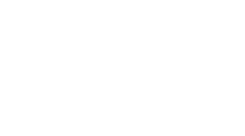 She Monkeys Logo