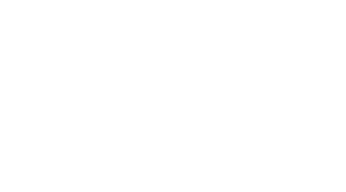 Domino (2005) Logo