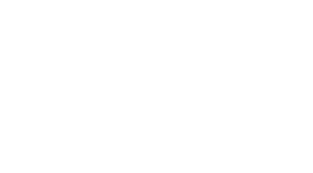 Flight Logo