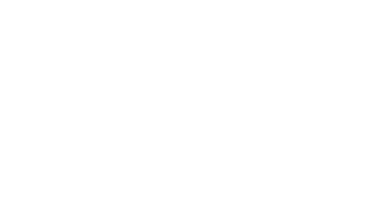 Citadel Logo
