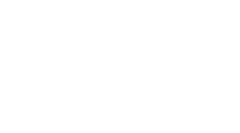 Sleepless Nights Logo