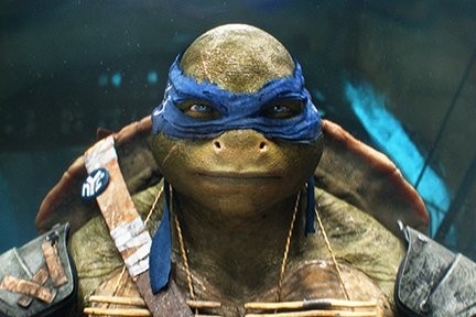 Teenage Mutant Ninja Turtles  Live Shows & Attractions ft. Leonardo,  Raphael, Michel & Donatello