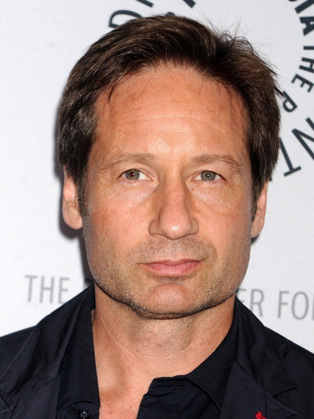 David Duchovny  Rotten Tomatoes