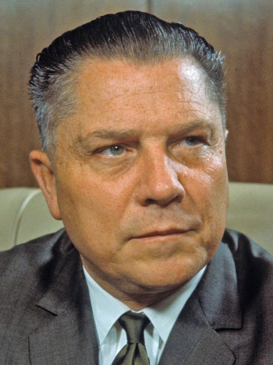 Jimmy Hoffa Pictures - Rotten Tomatoes