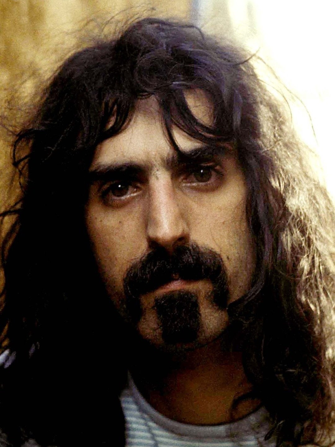 Frank Zappa Birthday