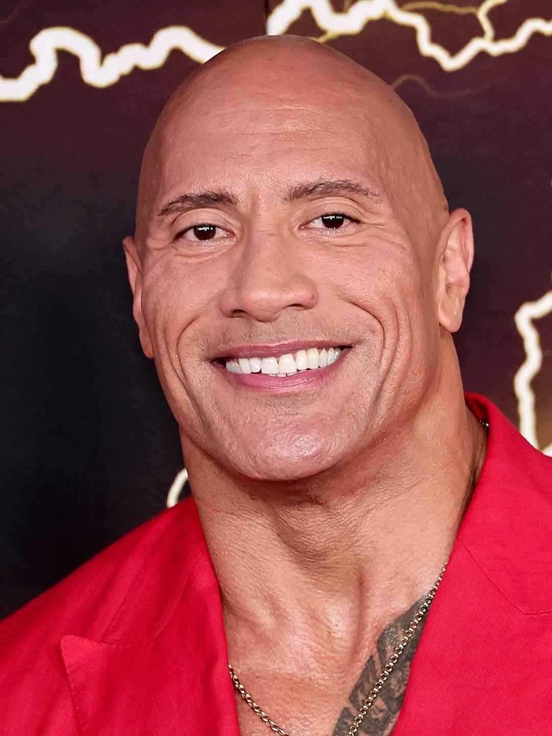 The rock dwayne johnson, The rock eyebrow, The rock