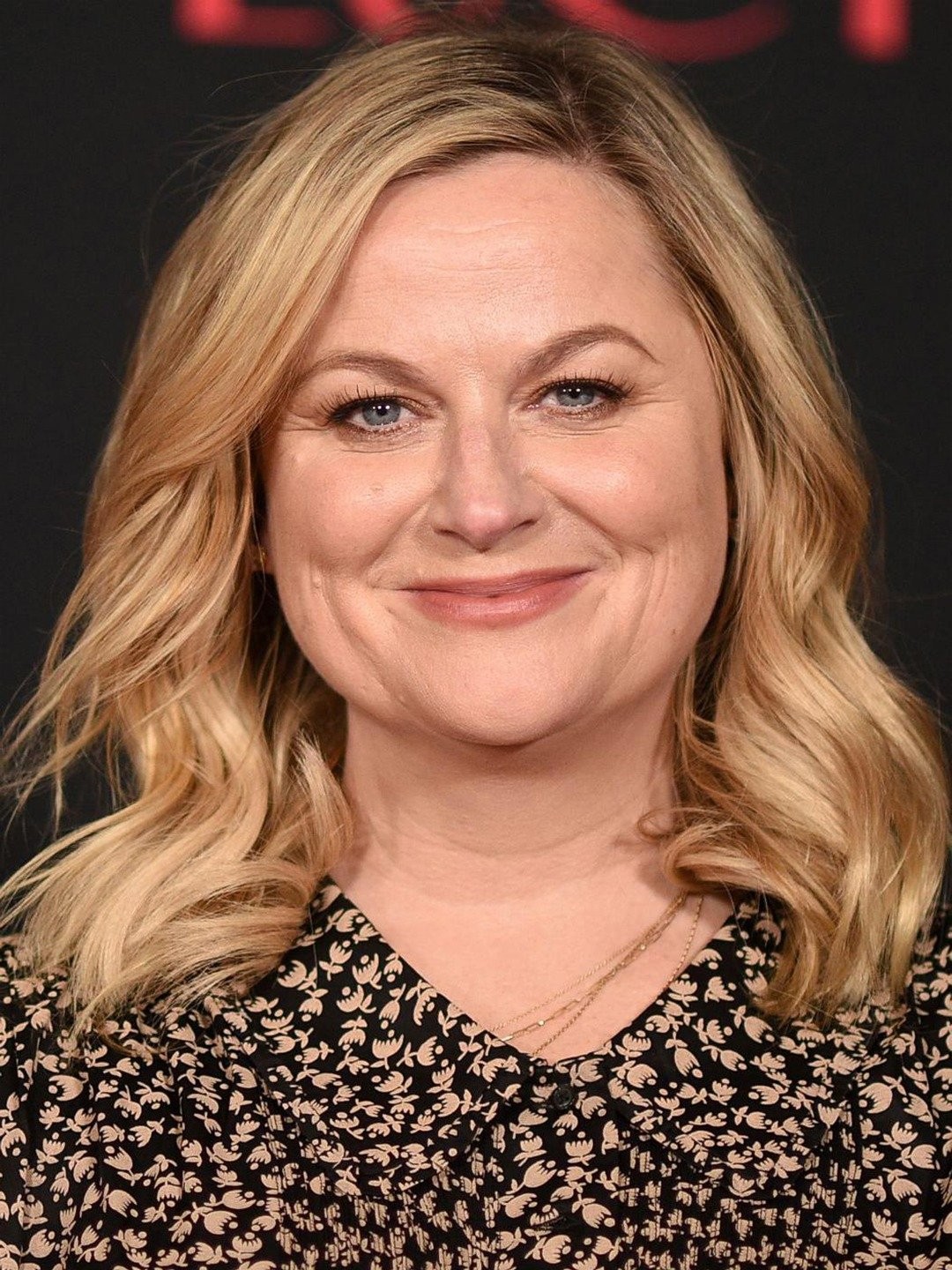 Amy Poehler Rotten Tomatoes