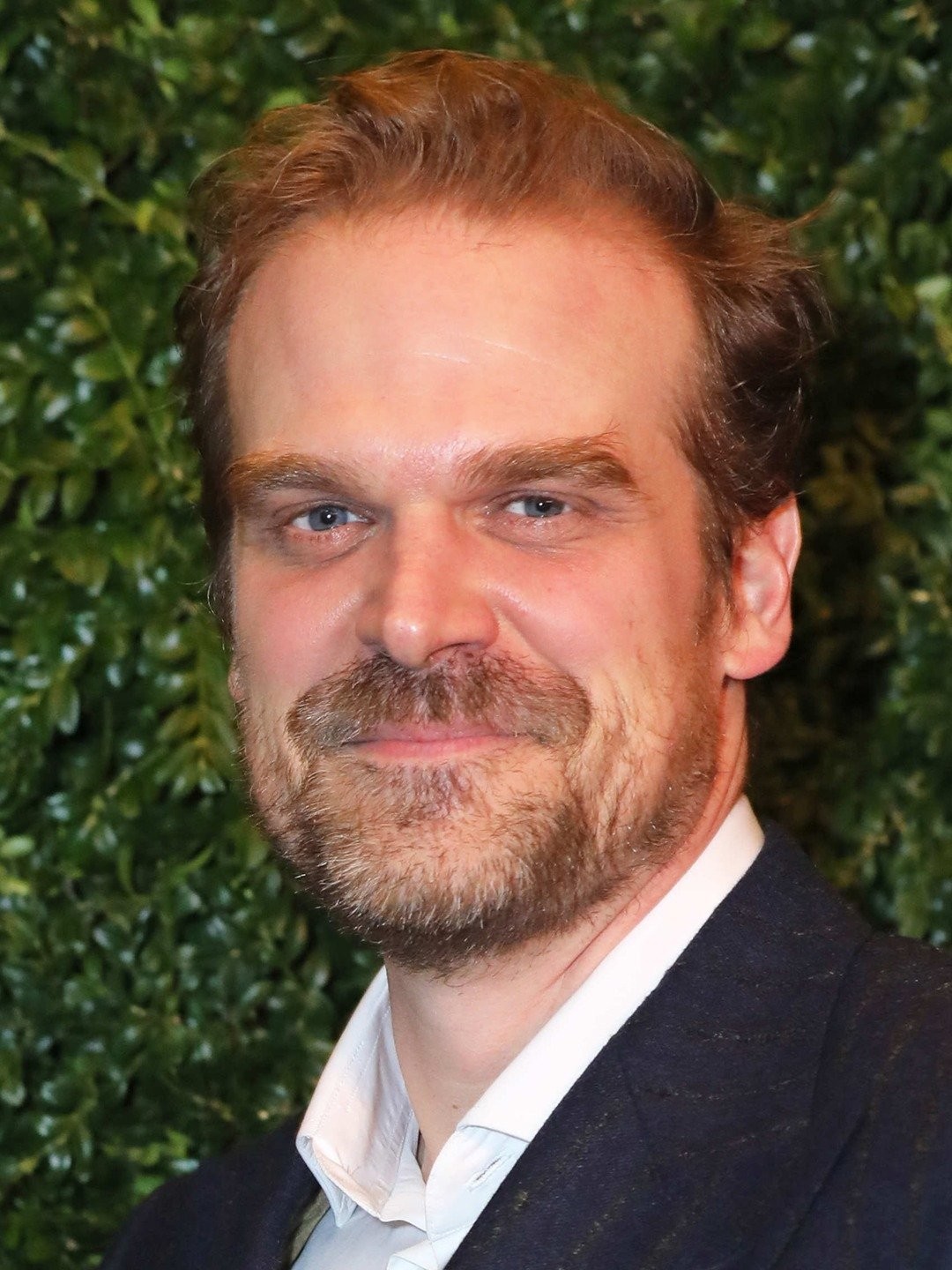 David Harbour - Rotten Tomatoes