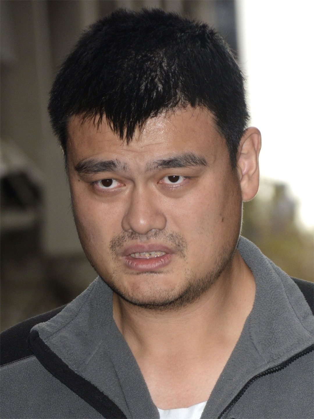yao ming next to normal person