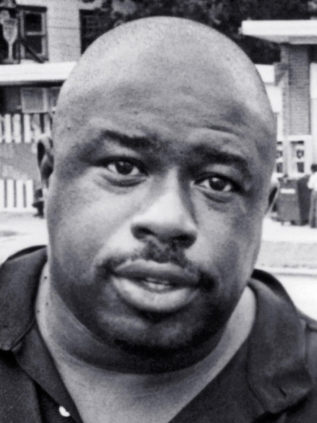 Jackson Pictures Rotten Tomatoes