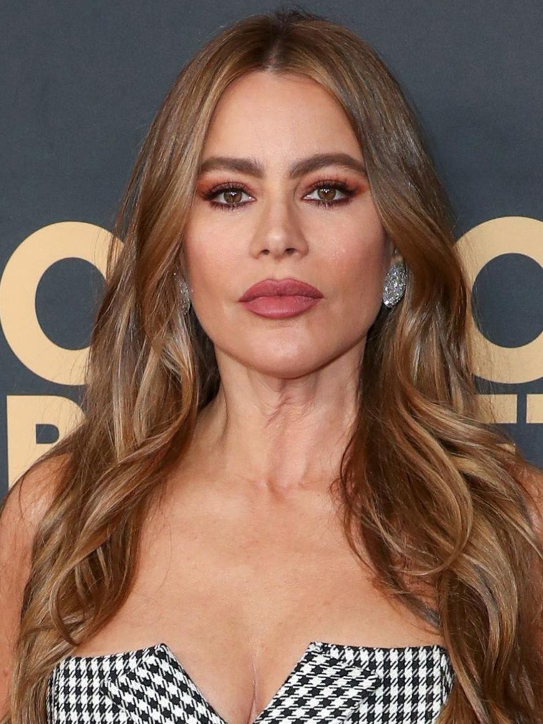 Portrait of Sofia Vergara at Age 51 Still Looking Forever Young and  Charming!