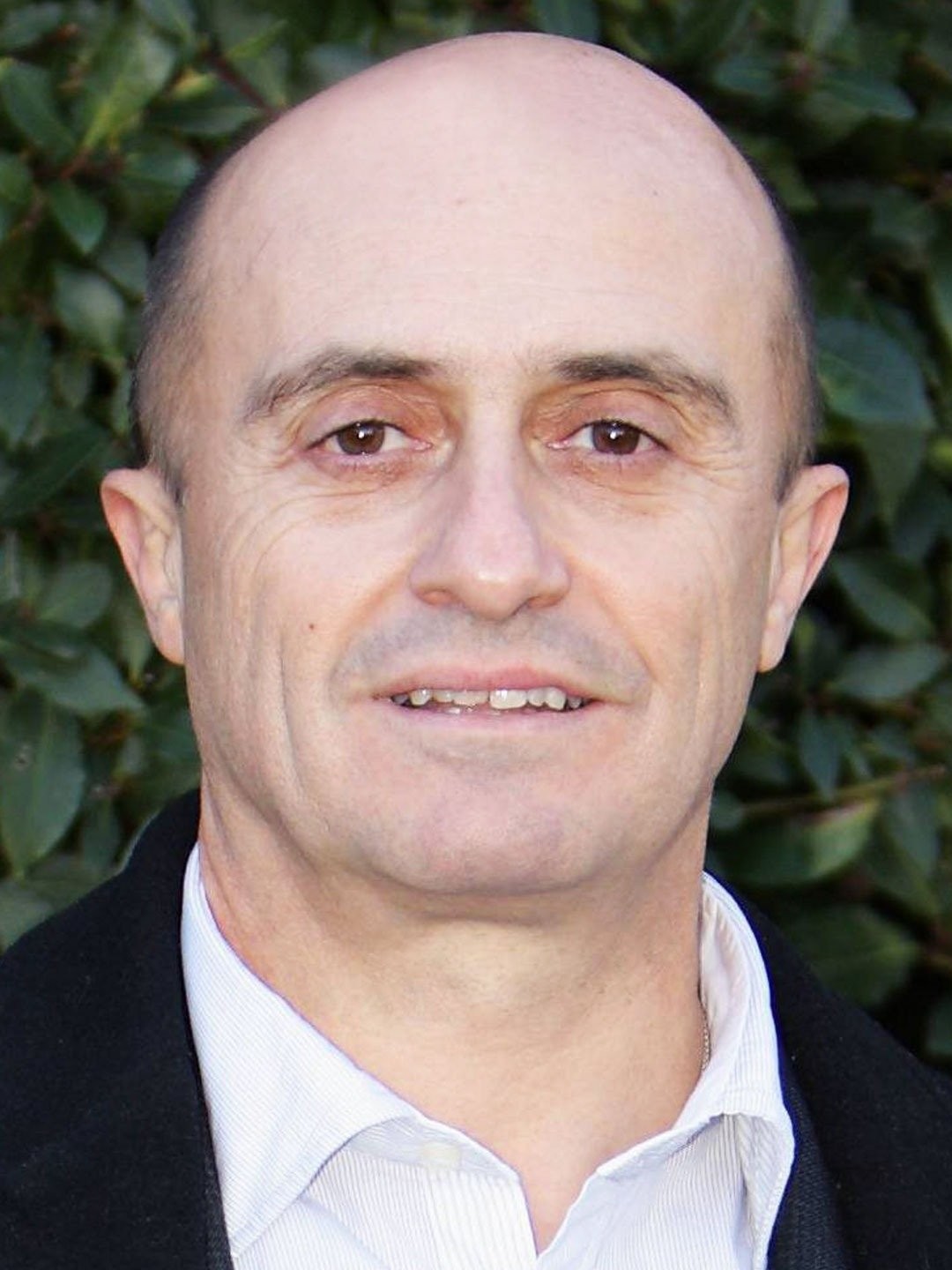 Pepe Viyuela Pictures Rotten Tomatoes